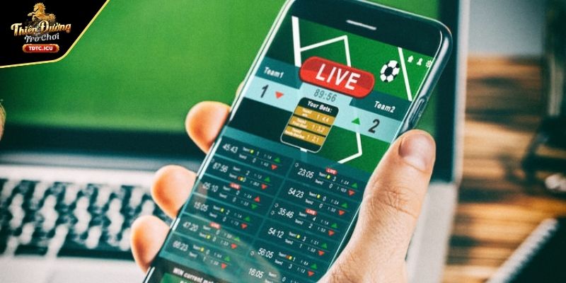 Bí quyết soi kèo banh tối nay hiệu quả từ chuyên gia