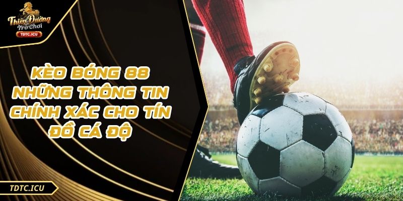 Kèo Bóng 88 Những Thông Tin Chính Xác Cho Tín Đồ Cá Độ